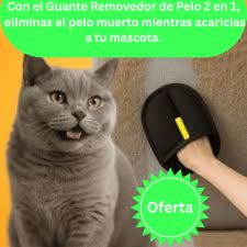 Guante Removedor de Pelo 2 en 1 - Negro