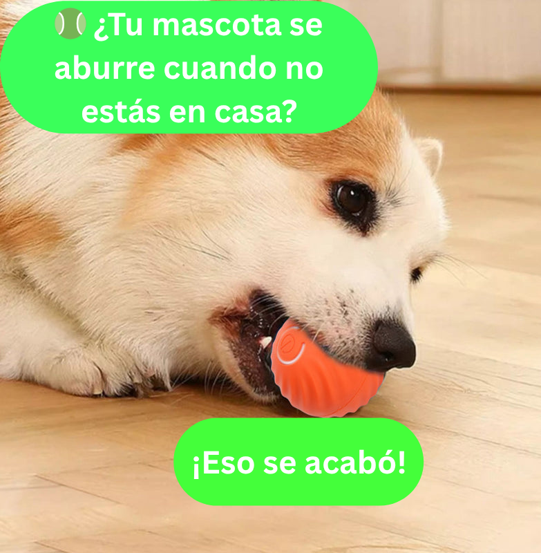 NUEVA PELOTA DE JUGUETE INTELIGENTE PARA MASC