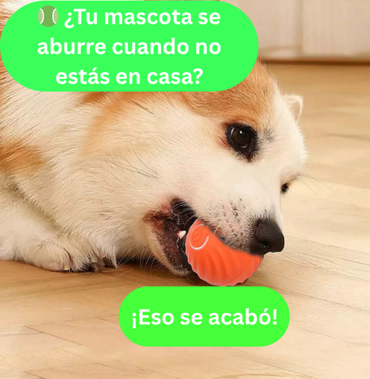 NUEVA PELOTA DE JUGUETE INTELIGENTE PARA MASC