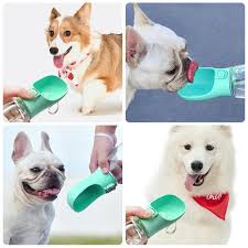Botella Dispensadora 3 En 1 Para Mascota