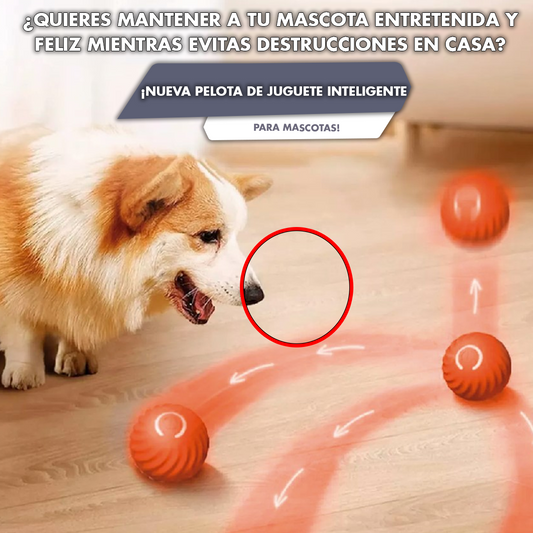 NUEVA PELOTA DE JUGUETE INTELIGENTE PARA MASC